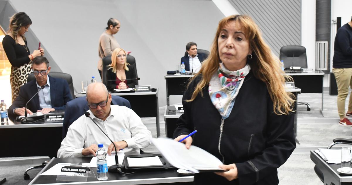 La presentación fue realizada por los diputados Sandra Fonseca y Maximiliano Aliaga