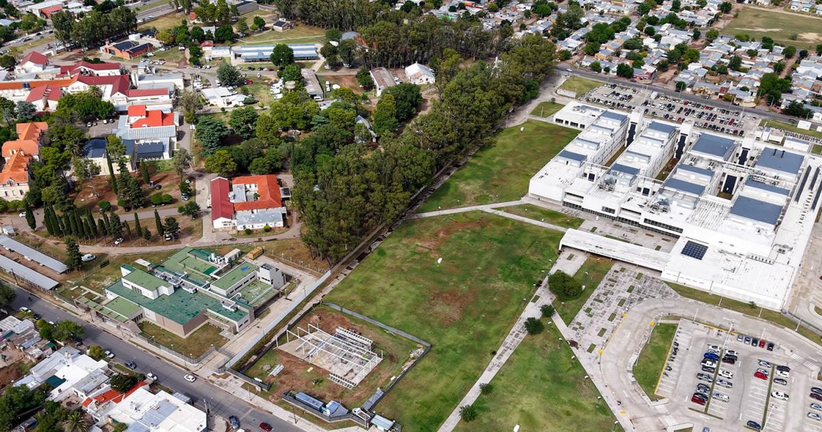 El campus reunir� a los centros de salud y de formación
