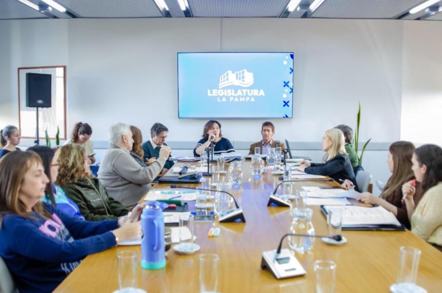 El plenario de las Comisiones de Legislación Social y Legislación General de esta C�mara de Diputados presididas por María Laura Trapaglia y Liliana Robledo