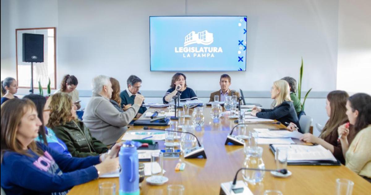 El plenario de las Comisiones de Legislación Social y Legislación General de esta C�mara de Diputados presididas por María Laura Trapaglia y Liliana Robledo