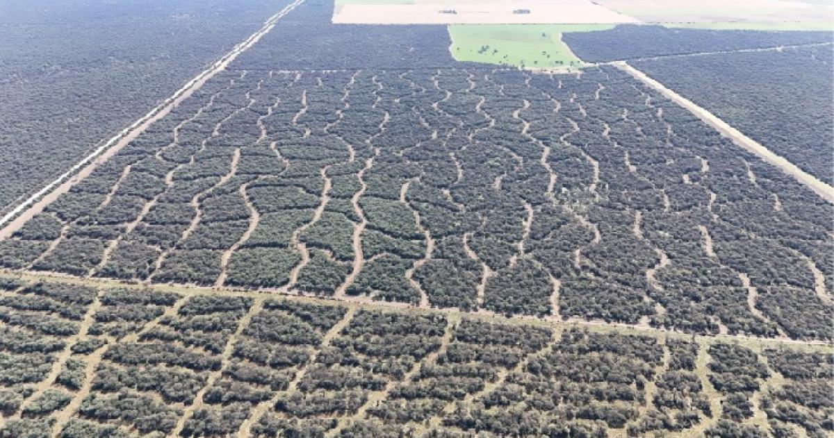La operatoria se instrumenta de manera conjunta con el CFI y el FoGaPam