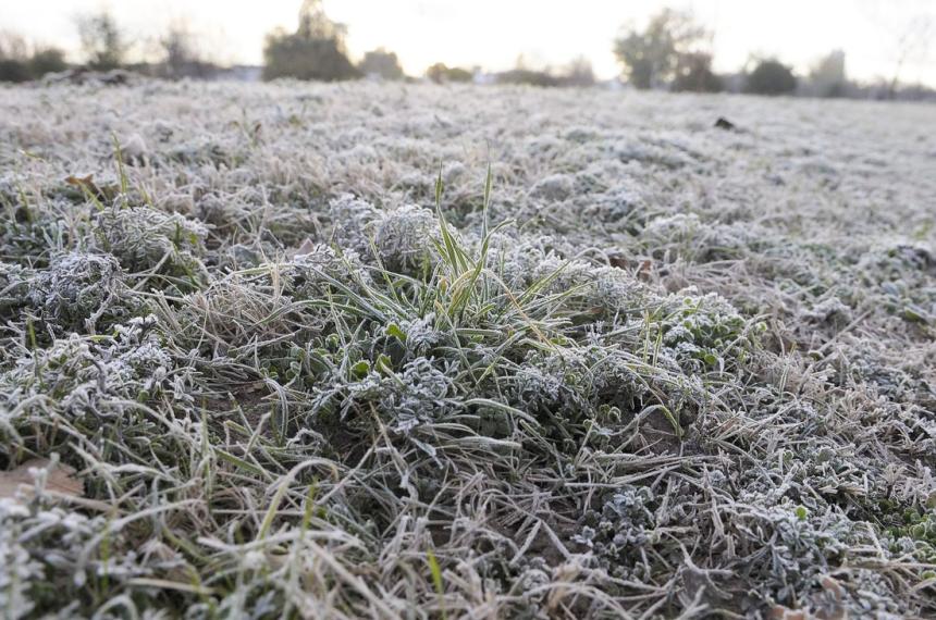 La sensación térmica fue 46C bajo cero a las 7 de la mañana