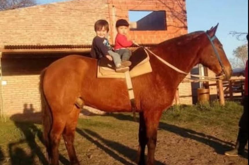 Mató a Tomasito un caballo de paseo y lo condenaron por abigeato No ir� preso
