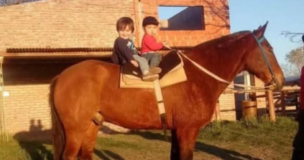Mató a "Tomasito", un caballo de paseo: le dieron tres años en suspenso