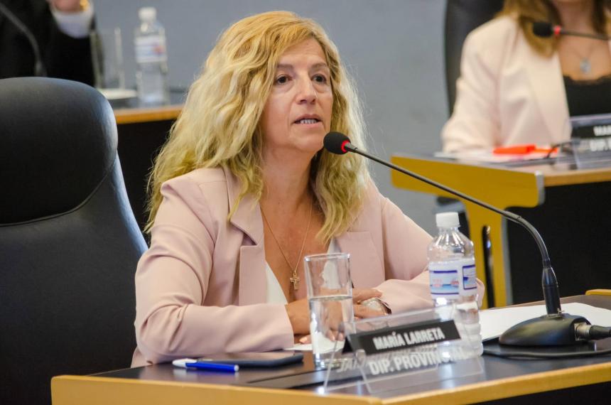 La diputada provincial del vernismo Silva Larreta
