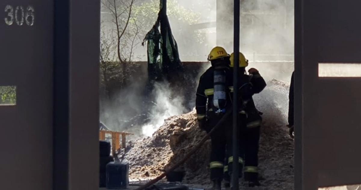 Dos dotaciones de bomberos trabajaron en el lugar