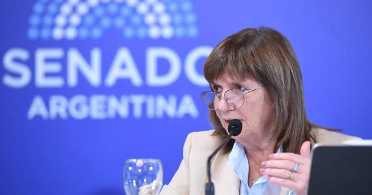 La senadora Patricia Bullrich tomó distancia en los recortes de fondos para Discapacidad