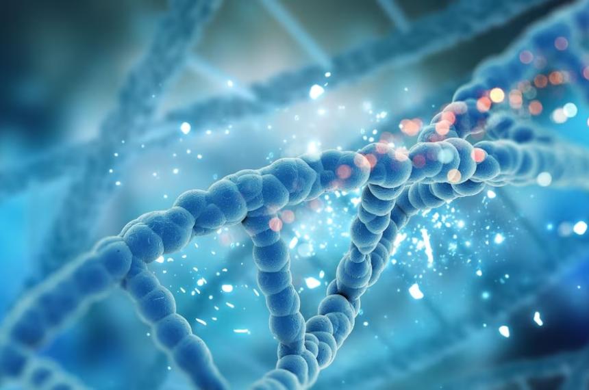 El sistema desarrollado por el Instituto Hamilton de la Universidad de Maynooth ejecuta c�lculos matem�ticos mediante interacciones de ADN en una gota de agua salada