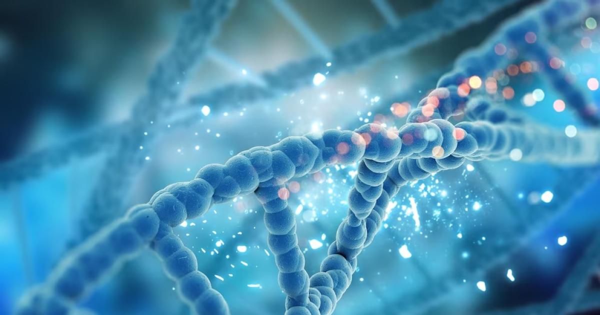 El sistema desarrollado por el Instituto Hamilton de la Universidad de Maynooth ejecuta c�lculos matem�ticos mediante interacciones de ADN en una gota de agua salada