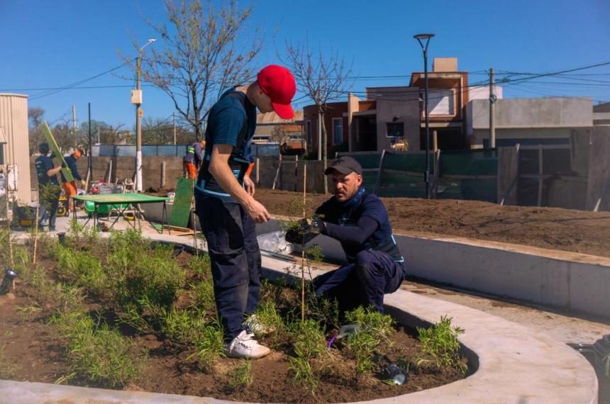  Colocaron m�s de tres mil plantas autóctonas y renovaron el arbolado urbano