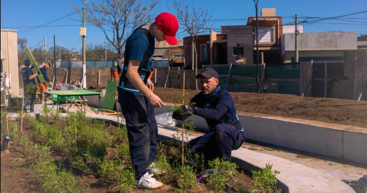  Colocaron m�s de tres mil plantas autóctonas y renovaron el arbolado urbano