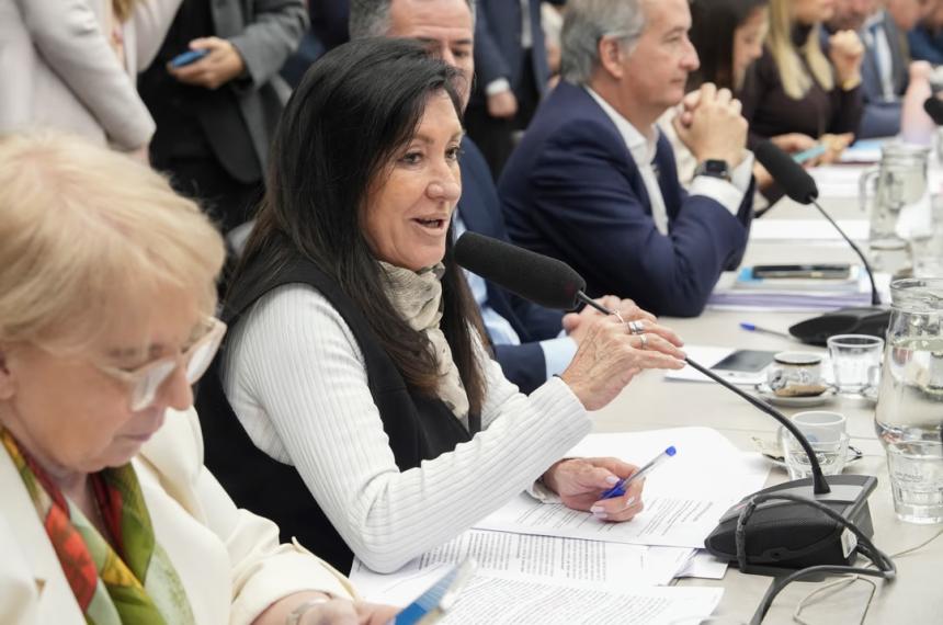 Laura Rodríguez Machado diputada nacional LLA