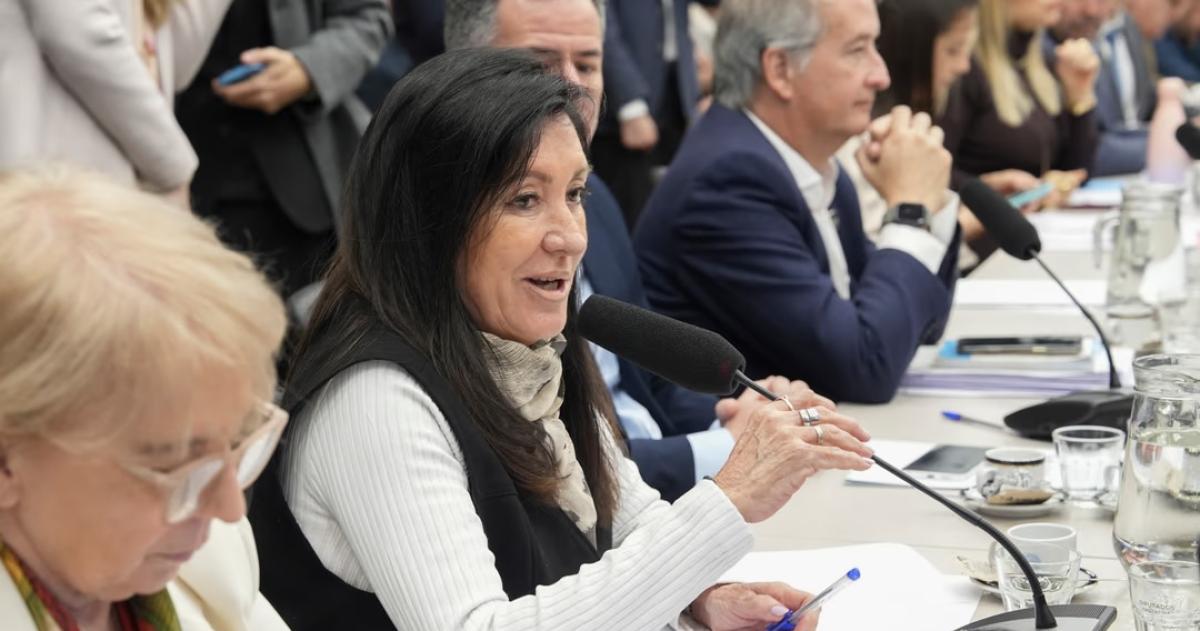 Laura Rodríguez Machado diputada nacional LLA