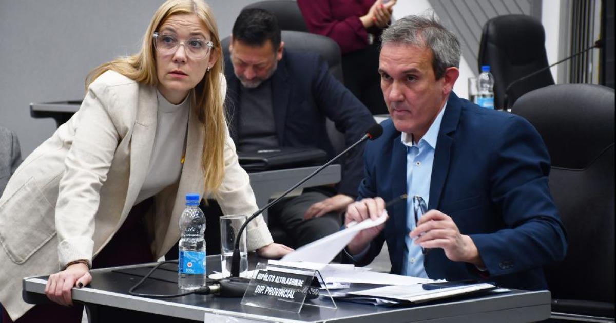 El primer proyecto fue presentado por Poli Altolaguirre
