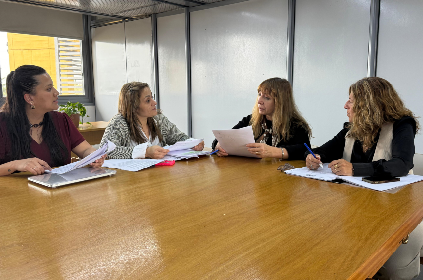 La comisión pidió documentación y citar� a funcionarios la semana próxima