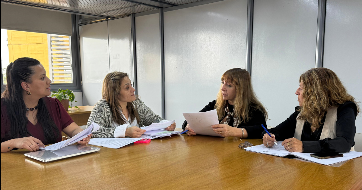La comisión pidió documentación y citar� a funcionarios la semana próxima