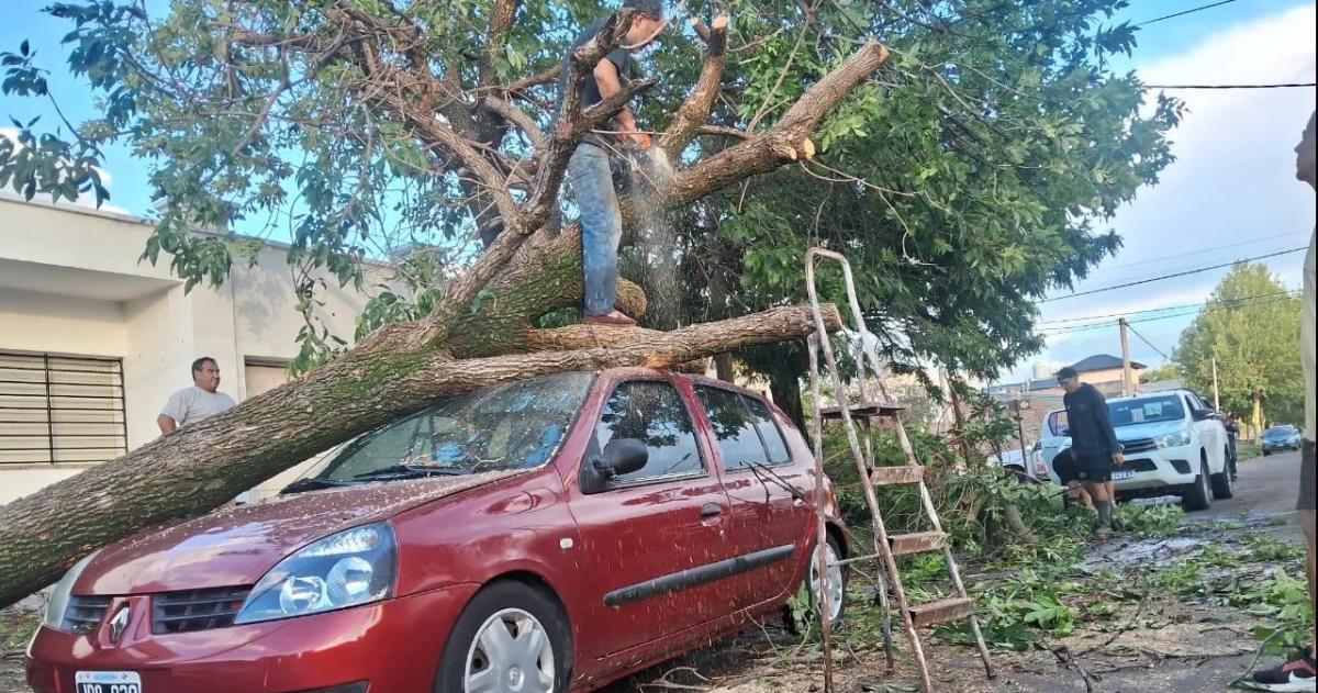La tormenta del pasado 18 de febrero provocó un desastre en la ciudad