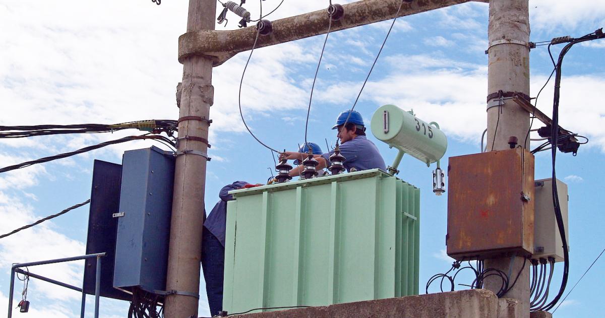 Un comunicado de la CPE informó que a las 20-43 horas un ave fue el singular motivo que produjo una falla