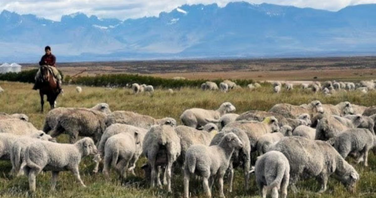 La ley establecía que las tierras en posesión de extranjeros no pueden superar el 15-en-porciento- de la superficie total del territorio nacional provincial o departamental