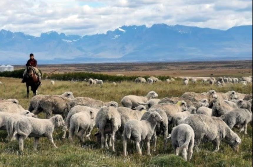 La ley establecía que las tierras en posesión de extranjeros no pueden superar el 15-en-porciento- de la superficie total del territorio nacional provincial o departamental