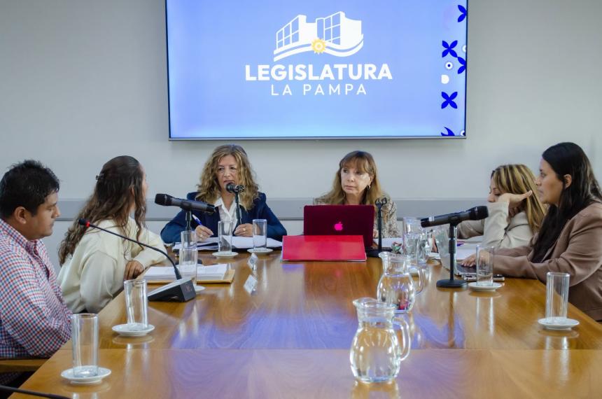 La familia de contención expuso ante las cuatro legisladoras provinciales de la comisión