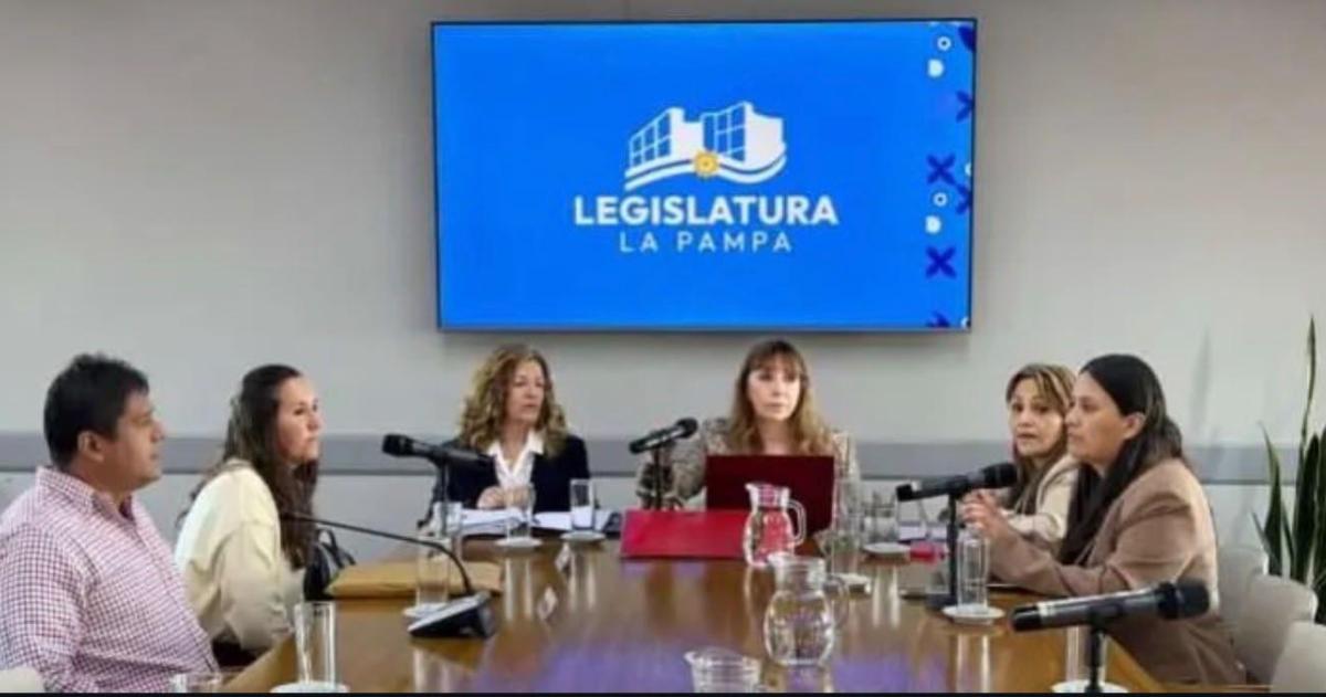 La familia de contención expuso ante las cuatro legisladoras provinciales de la comisión