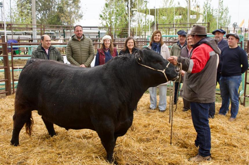 El miércoles ingresó Centenario Pampeano el primer toro de la edición n�mero 100