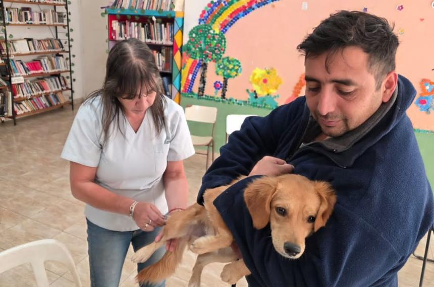 Las vacunaciones se realizaron en la Laguna y en APANI