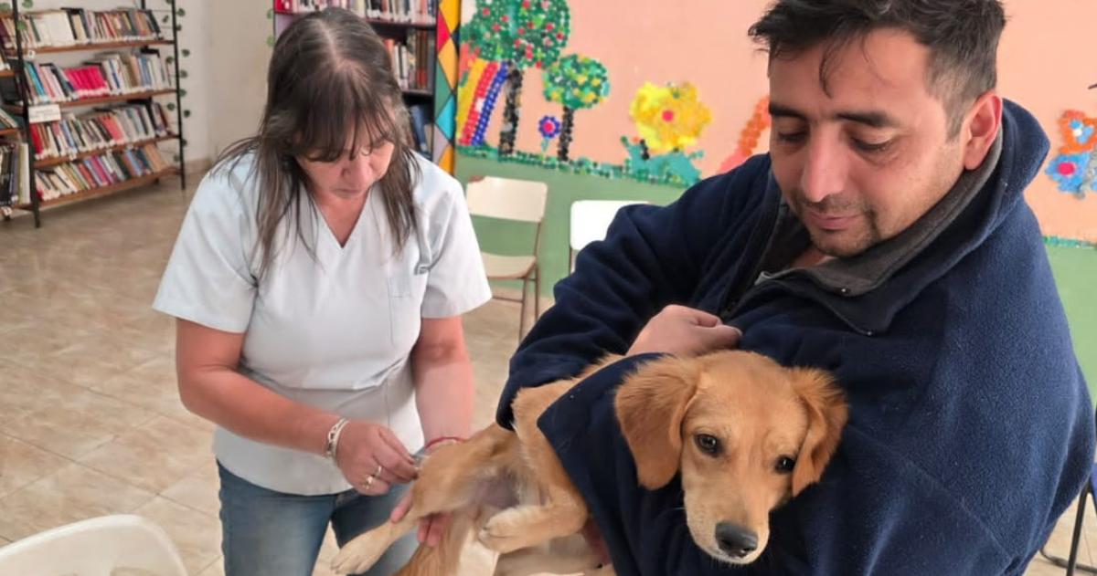 Las vacunaciones se realizaron en la Laguna y en APANI