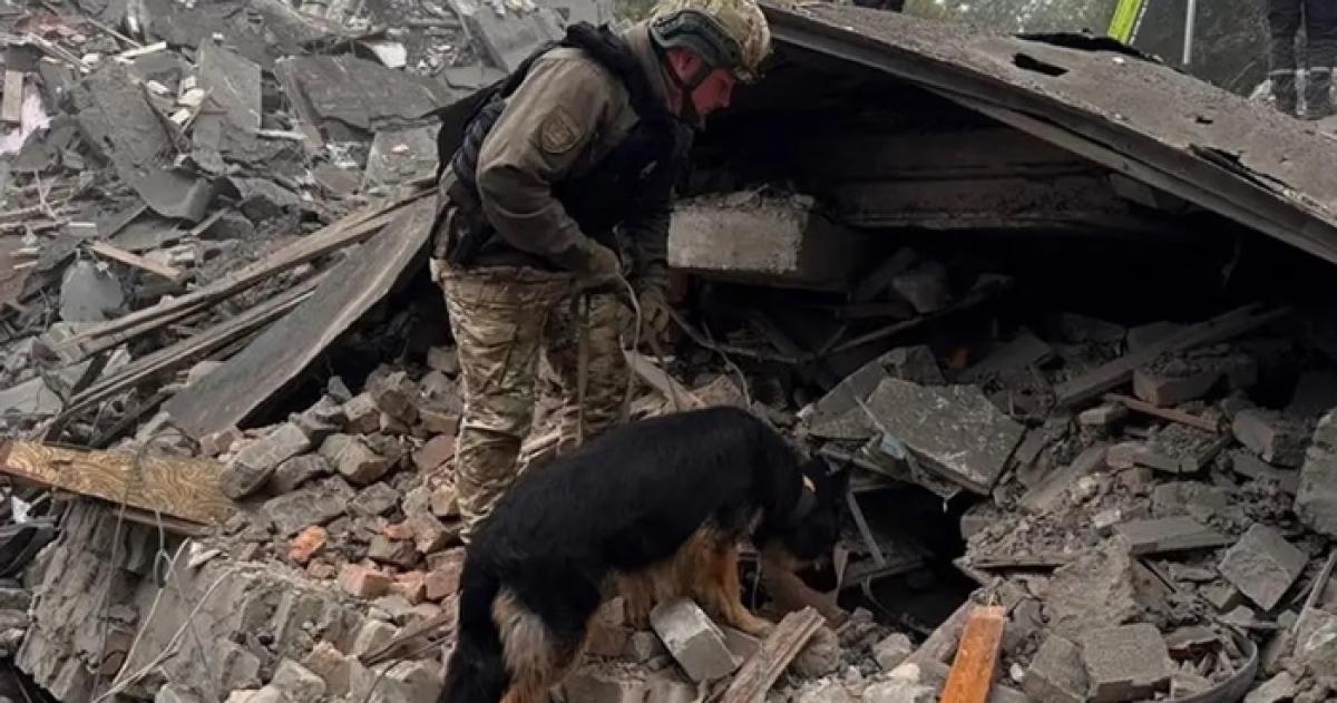 Equipos de rescate y servicios de socorro ucranianos desplegaron un operativo de emergencia