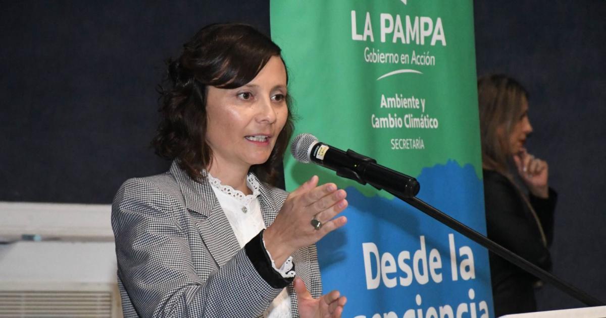 Cuenta de Inversión 2025: Ambiente solo ejecutó el 45% y el IPAV, 59%