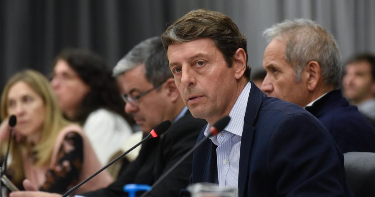 El diputado nacional del peronismo Ariel Rauschenberger