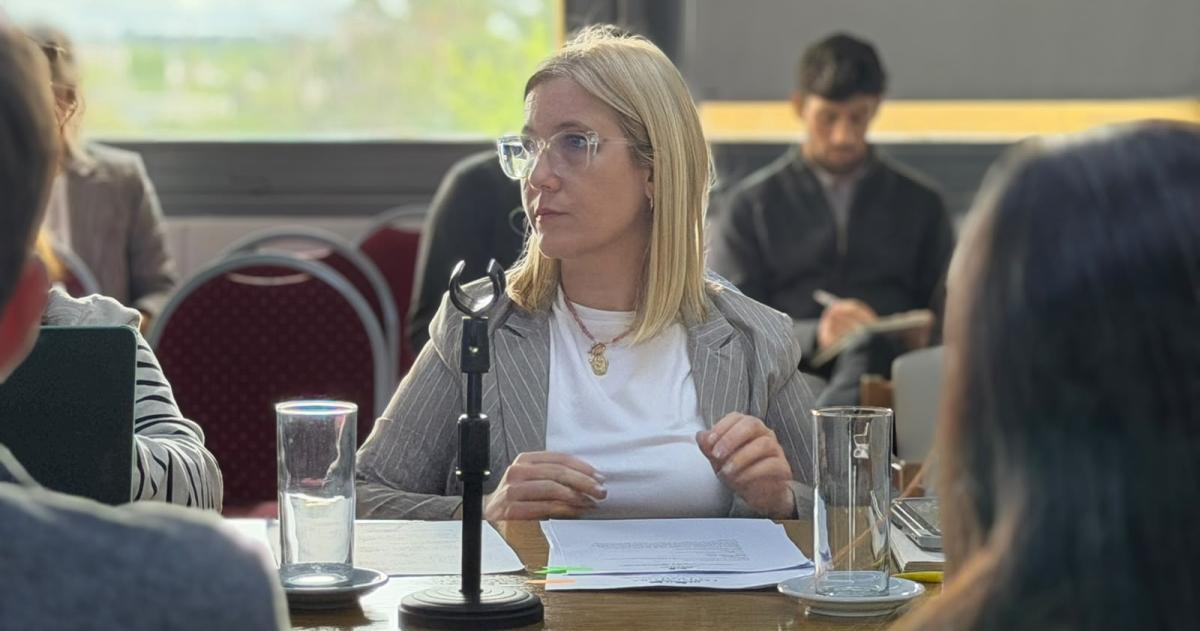 Diputada por el PRO Celeste Rivas