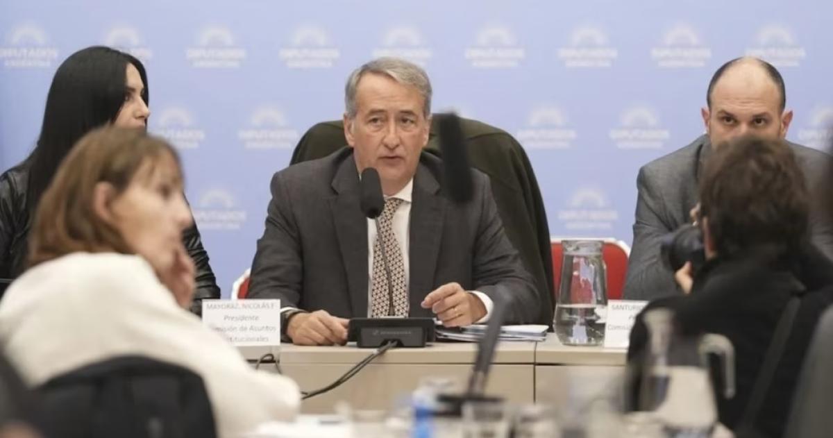 Nicol�s Mayoraz presidente de la comisión de Asuntos Constitucionales