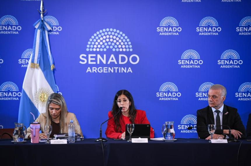 El proyecto de ley de Salud Mental enviado por el Gobierno recibió sustanciales modificaciones