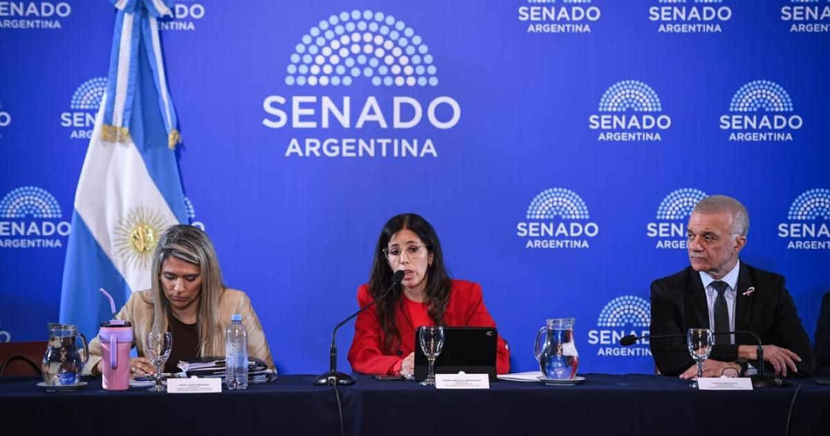 El proyecto de ley de Salud Mental enviado por el Gobierno recibió sustanciales modificaciones