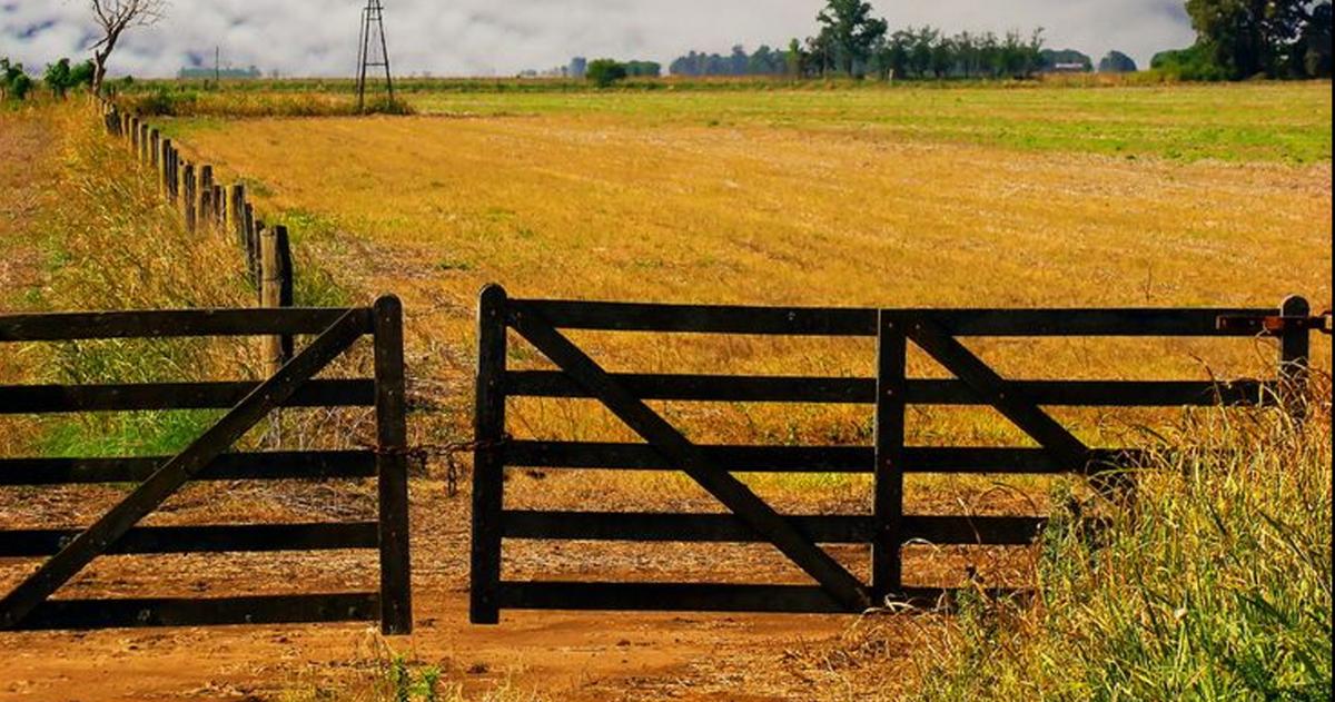 Los cambios en la ley beneficia a los productores