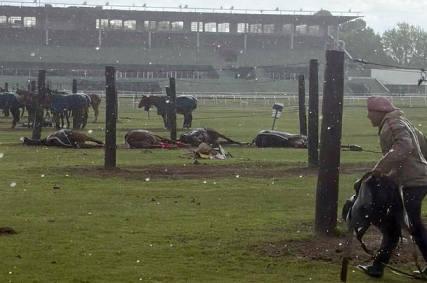 En la cancha 6 del Jockey Club de San Isidro se produjo el incidente