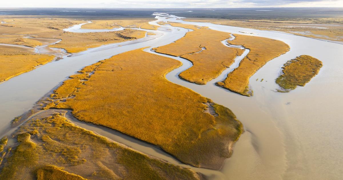 La desembocadura del río Colorado en el Atl�tico La fotografía de Marcos de Larminat que obtuvo el segundo premio en la categoría profesional del concurso 50 aniversario