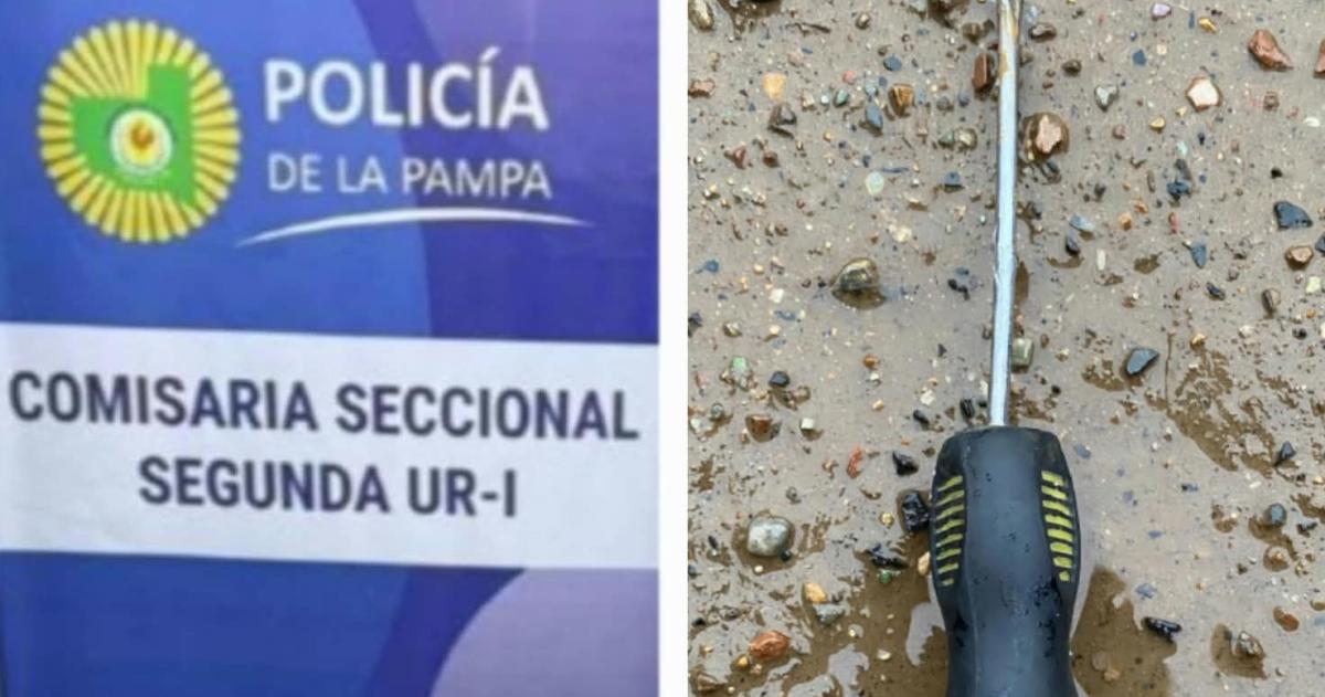 El destornillador que le secuestraron al autor del hecho