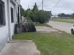 Una nueva denuncia por maltrato animal sacudió en las �ltimas horas a la localidad de Toay