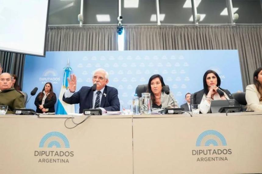 El oficialismo ajusta la iniciativa sobre Malvinas en Diputados para asegurar los avales legislativos