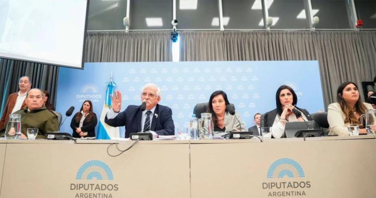 El oficialismo ajusta la iniciativa sobre Malvinas en Diputados para asegurar los avales legislativos