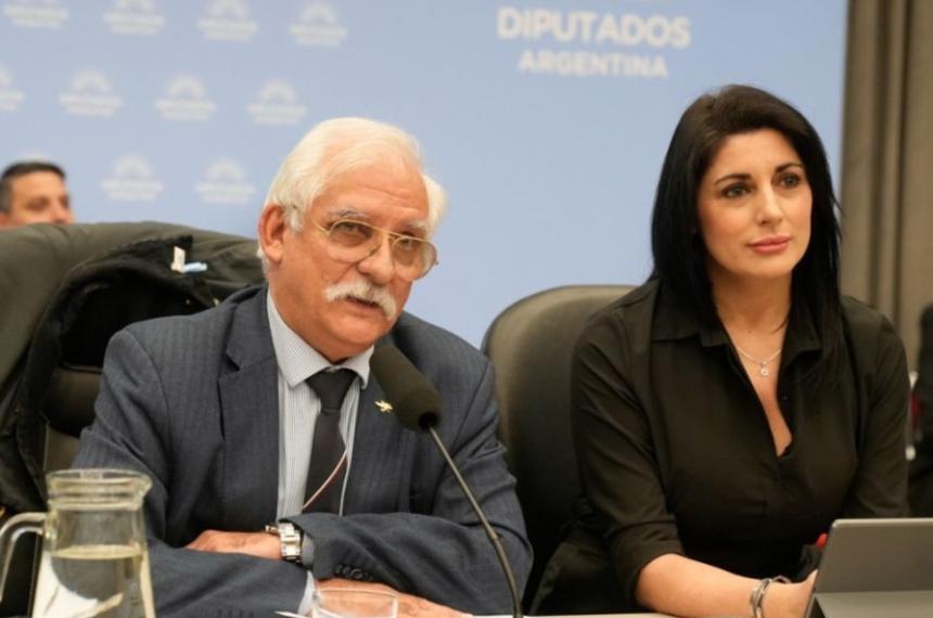El oficialismo logró el dictamen de mayoría para el proyecto de Defensa de la Soberanía Nacional