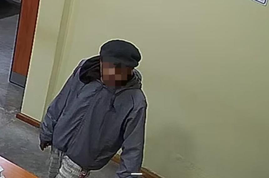 Vio una bateria en un hall de entrada y la robó Lo ientificaron por las c�maras