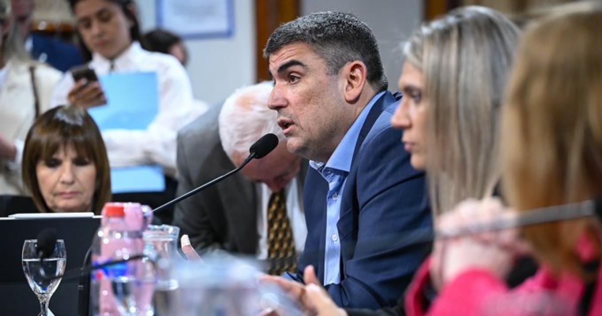 El proyecto del senador pampeano se unificó con otro de una senadora chubutense