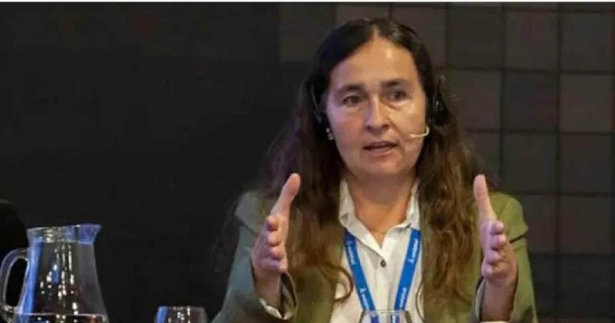 A lo largo de su trayectoria Virginia Aparicio llevó adelante diversos estudios acerca de la presencia y el impacto de los agroquímicos sobre el agua los suelos los alimentos y la salud humana
