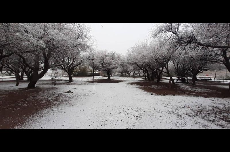 nieve lihue calel 1