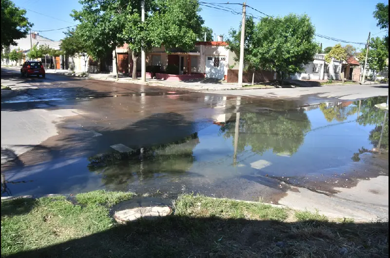 perdida cloacal escalante y olascoaga 4