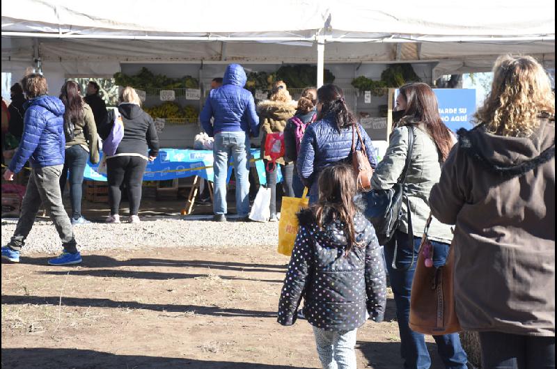 mercado municipal feria 3